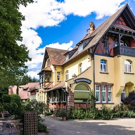 Hotel Dammenmuehle Lahr  Luaran gambar