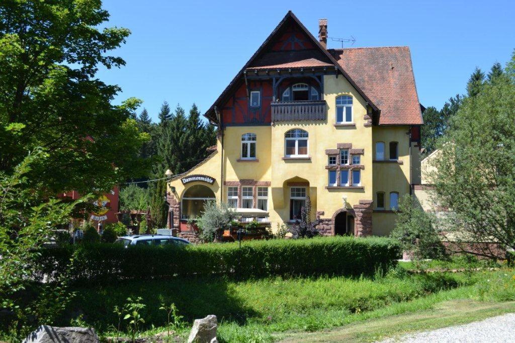Hotel Dammenmuehle Lahr  Luaran gambar